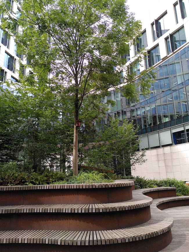 Tree at Silversquare North